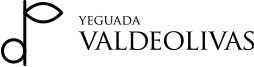 Yeguada Valdeolivas